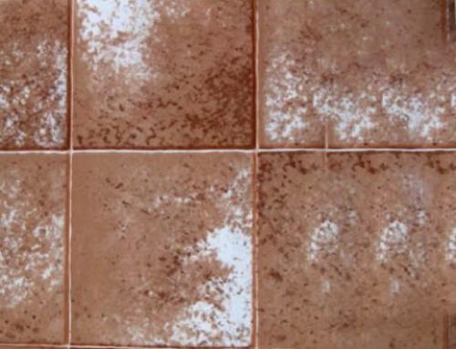 Importadora BS - ceramicas, pisos flotantes, pisos vinilicos, alfombras