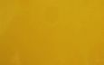 LAM.L561 PF PVC BR NEW AMARILLO 1.24 X 3.08 X 0.8M - FORMICA